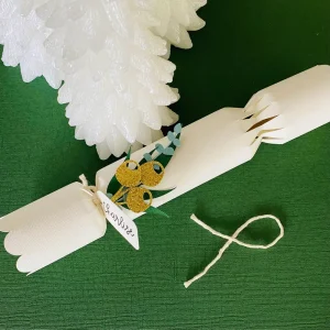 Aussie Botanical Personalised Fill Your Own Christmas Crackers