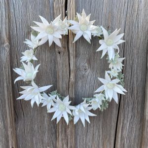 Aussie Flannel Flower Felt Wreath